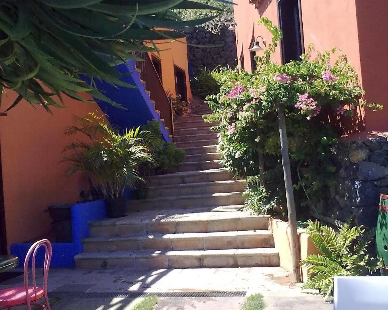 Pensjonat Casa Ida Garachico  Gospodarstwo wiejskie