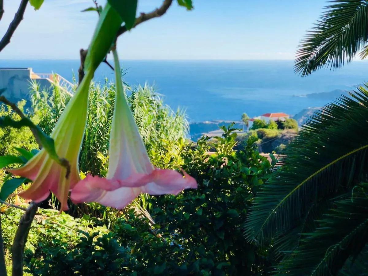 Pensjonat Casa Ida Garachico